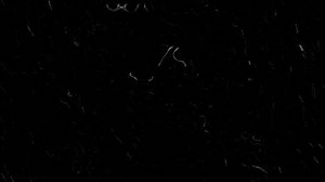 Retro 16mm Vieux Film Effet Scratch : vidéo de stock (100 % libre de droit) 3991389081 | Shutterstock