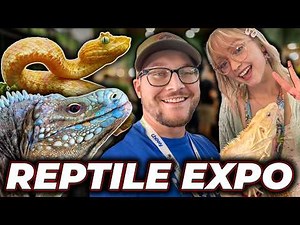 I'VE NEVER SEEN THIS REPTILE BEFORE!