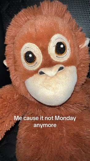 #monday #yay #tuesday #ikeamonkey #fyp yay it’s not Monday any more🥳🥳🥳🥳
