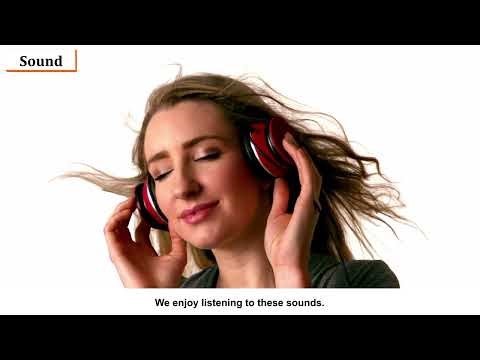 Science Today | Ch-10 Light, Sound and Force | Class 3 | Science for Kids