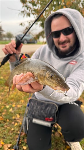 Spinning ultralight nei fossi 🎣 Micro gomme, ciprinidi e tanta pratica sul campo. 👉 Nel video su YouTube trovi: • le montature che utilizzo • perché funzionano nei fossi • azione di pesca 📺 Il video è online ora sul canale YouTube @berkley_italia @abugarcia_italia #pesca #spinning #ultralight #fossfishing #streetfishinh | Manolo Angler