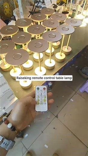 Raiseking rechargeable table lamp made by aluminum with remote control lock and unlock function