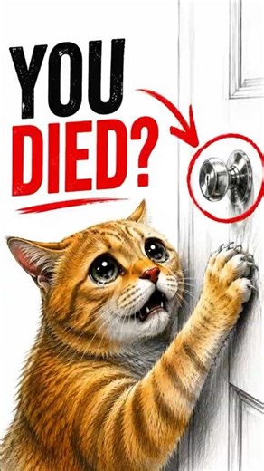 Your Cat Thinks You Died Behind The Door 😿