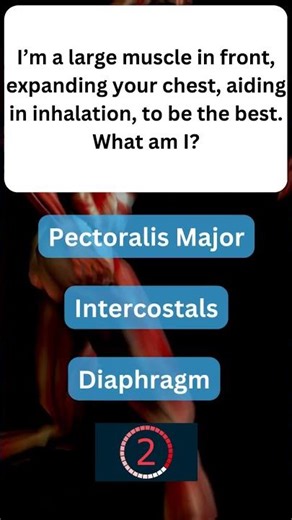 Fun Fact About Your Muscles You Won’t Believe! 💪 #MuscularSystem 41