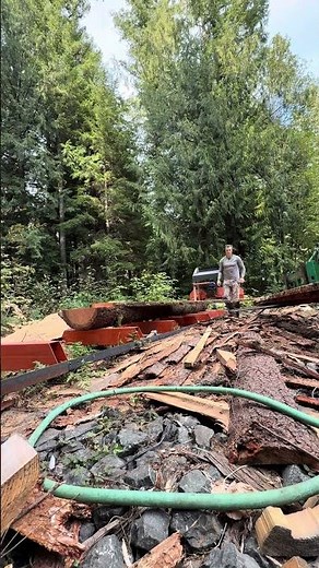 Day 24 | Building a Treehouse Sauna from Scratch #Shorts #SaunaBuild