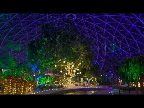 Living With the Land Glimmering Greenhouses (Night) Epcot December 29, 2025