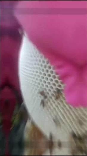 Mỗi nghề có nổi khổ riêng#kiếmtieefnyoutube‪@ThanhLiem-TVBD‬