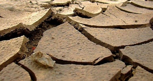 High Sodium Soil Effect On Plant Growth - Cropnuts