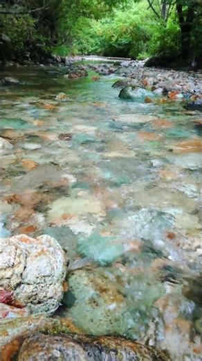 【自然の音】癒しの水の音、川のせせらぎ、ストレス緩和、睡眠導入、自律神経を整える、疲労軽減、癒し、リラックス、作業用BGM、瞑想、勉強、ASMR、#Shorts#nature#癒し#水の音