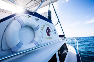 Open Water Information