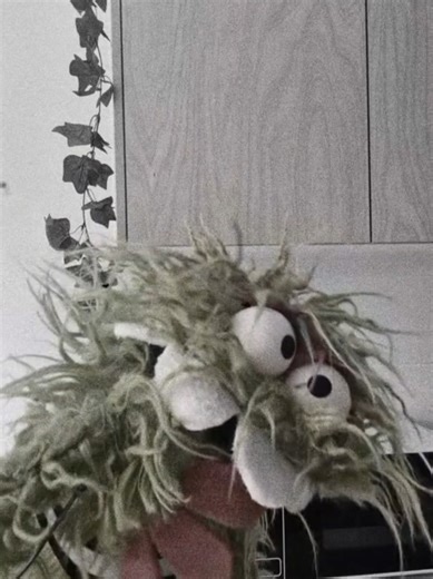 Bath time for Pickles in the washing machine—now it’s a full-blown lecture. Fuck my life. #ComicAuthor #Oneliner #ComedyWriting #PuppetLife #MumLife