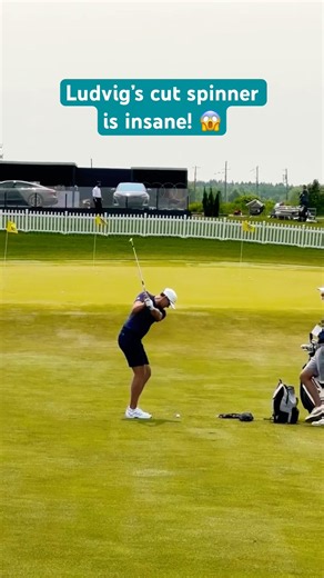 Ludvig Aberg's insane cut spinner shot 🔥 #golf #golfswing #shorts