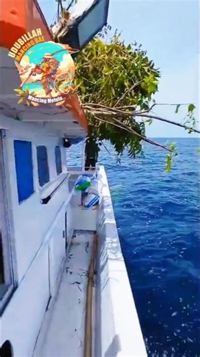 Time to spread fish aggregating devices #fishing