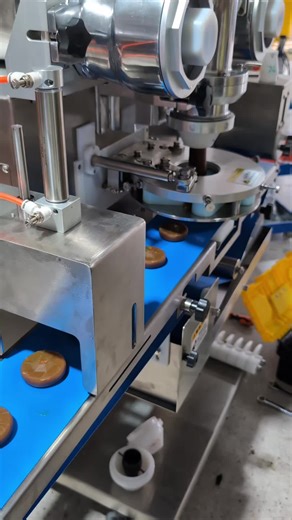 Chocolate chip filled cookies making machine cookie encrusting machine #Beiknmachine#filledcookiemachine#encrustingmachine#maamoulmachine#cookieextruder