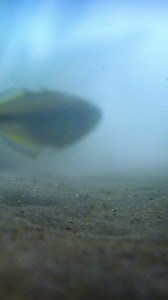 Protecting what you love with NJM Insurance sure has a nice ring to it. | NJM Insurance Group