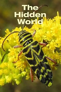 The Hidden World (1958) - Movie