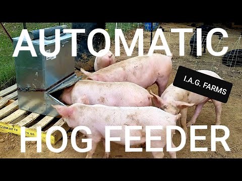 Reviewing an $180 Automatic Hog Feeder from Tractor Supply Co.