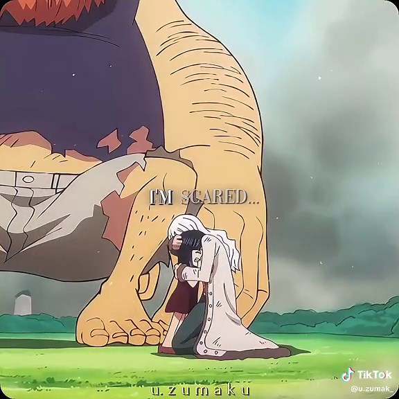 Heartbreaking Cries: The Troubles of Baby Robin in One Piece