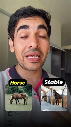 Home of an animal is called 😳 #vocabulary #englishlovers #shorts #learnenglish #englishtips