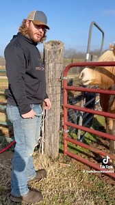 429K views · 10K reactions | Any fellas out there who can relate?  | Equine Connection - The Academy of Equine Assisted Learning Inc | Facebook