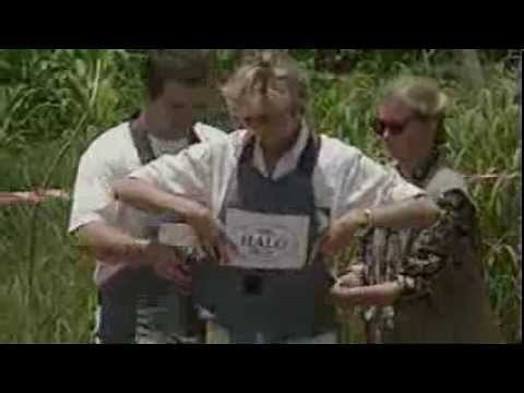 Princess Diana: Her iconic moments