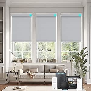 Changshade Smart Roller Shade with Remote Control Blackout Automatic Window Shades for Home Custom Size Motorized Blinds for Windows Work with Alexa,Google Home,Apple Homekit, Smokey Grey