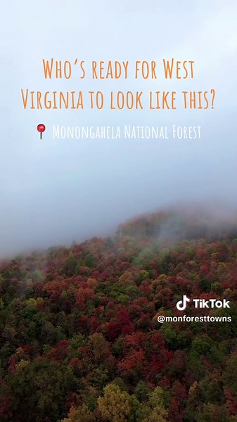Exploring Fall Colors in Monongahela National Forest