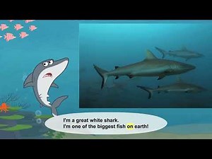 Meet the Ocean Animals || The Mighty Hunters of the Ocean || Great White Sharks