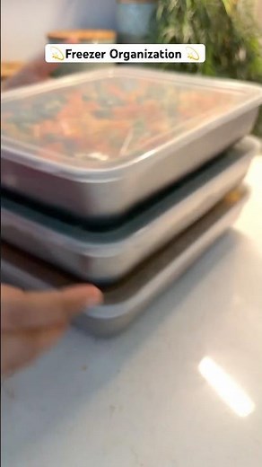 Stainless Steel Freezer Boxes👌#kitchenorganizer #kitchenorganization #fridgeorganizationideas