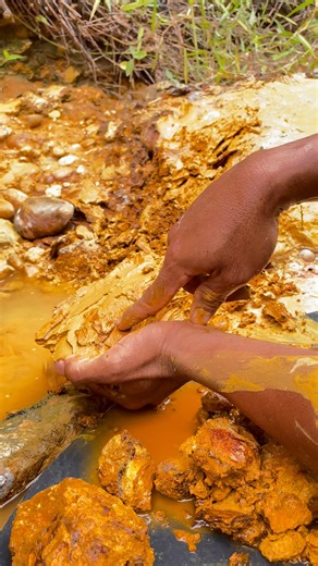 Wow, amazing!! The discovery of pure gold plates in a plantation river | traditional gold panning #PUREGOLD #goldpanning #goldmining #goldmine #goldminers #goldenhour #GoldRush #golden #goldenretriever #goldhunting #goldhunter #goldtreasure #biggold | Gunawan Satria