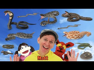 Snakes | What Do You See? Song | Find It Version | Dream English Kids - Videos For Kids