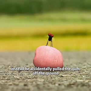 The Crazy Chain Reaction from One Piece of Gum