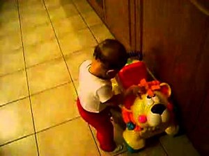 Fisher Price Stride To Ride Lion