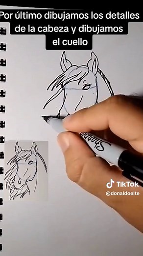 Cómo dibujar un caballo realista paso a paso