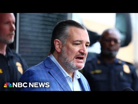 'This must stop': Sen. Cruz decries violence, ICE criticism after Dallas shooting