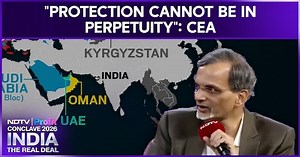 "Protection Cannot Be In Perpetuity," Says Chief Economic Adviser