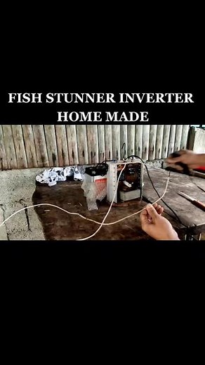 Fish Stunner Inverter Tutorial: DIY Homemade Steps
