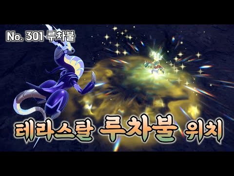 테라스탈 루차불 위치 및 잡는 방법