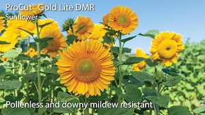 2.3K views · 86 reactions | Here are our top picks for NEW flowers for 2021! | Johnny's Selected Seeds | Facebook