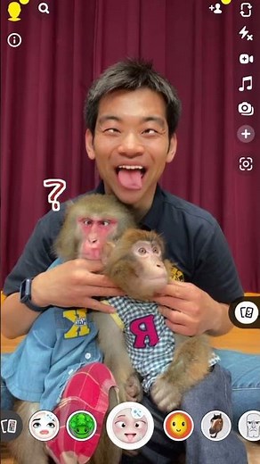 I tried the popular face-changing app on a monkey and it was a total disaster lol #shorts