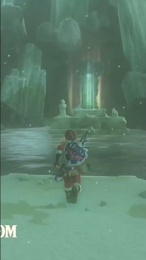 Spring of Wisdom in Breath of the Wild