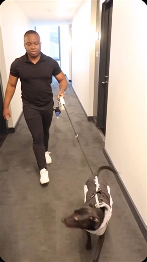 Pfizer Inc. | As this cycle of Pfizer’s R&D Rotational Program – a two-year commitment designed to immerse early-career colleagues into different aspects... | Instagram