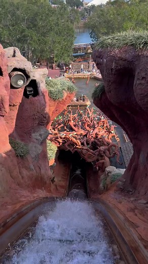 Get Soaked on Splash Mountain!