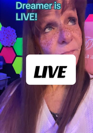 Dreamer is LIVE: Exciting Fortnite Streaming Event