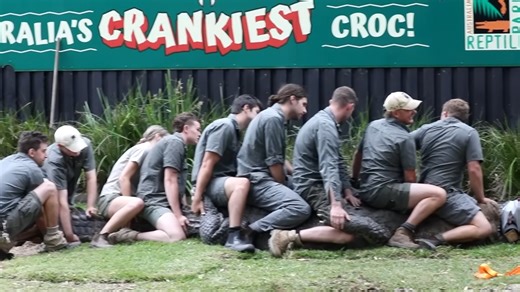 The croc was sedated but still ready to kill