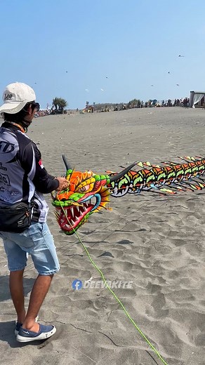 7K views · 160 reactions | Mini dragon kite trial, competition spec | Deeva Kite | Facebook