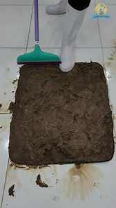 1.2M views · 11K reactions | Cleaning satisfying the muddy carpet #satisfyingvideos #ASMR #cleaning #fblifestyle #satisfyingvideos #relaxing | Magnus Rug Cleaning | Facebook