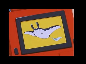 Mantine Pokédex Entry..wmv