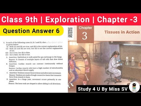 Chapter -3 | Tissue in action - Question Answer 6 | Class 9 Science Exploration