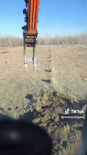 Easiest Ways to Remove Tree Stumps with an Excavator